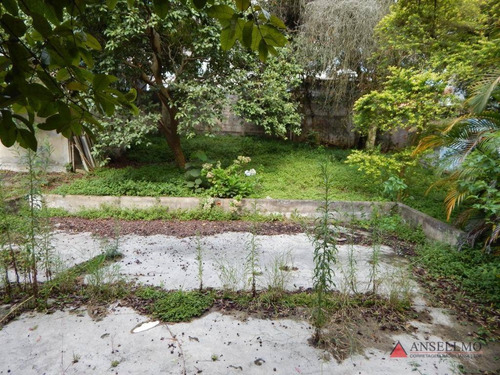 Imagem 7 de 11 de Terreno À Venda, 2500 M² Por R$ 10.750.000,00 - Centro - São Bernardo Do Campo/sp - Te0112