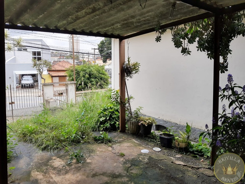 Imagem 13 de 24 de Terreno Na Região Da Mooca ,em Ótima Localização Com 312 Mts - Ca00052 - 34942017