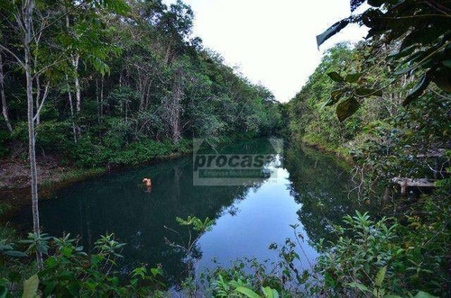 Imagem 8 de 8 de Sítio Com 2 Dormitórios À Venda, 120000 M² Por R$ 420.000 - Área Rural - Manaus/am - Si0161