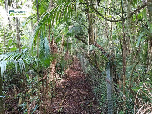 Imagem 16 de 24 de Chácara À Venda No Bairro América De Cima - Morretes/pr - 269