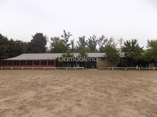 Hipico En Venta En Paso Del Rey, Moreno, G.b.a. Zona Oeste