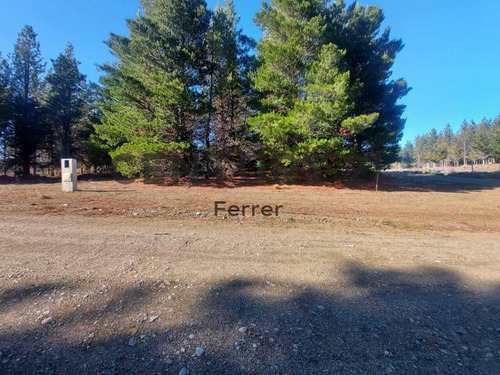 Lote En Venta En Bariloche - Dina Huapi - Loteo Dina Hue - Id: 45821