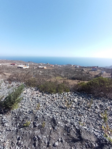 Parcela De Agrado En Arrayan Costero, La Serena.