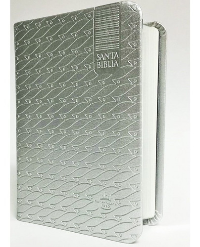 Biblia Bolsillo Rvr1960 Imitación Piel Color Plata