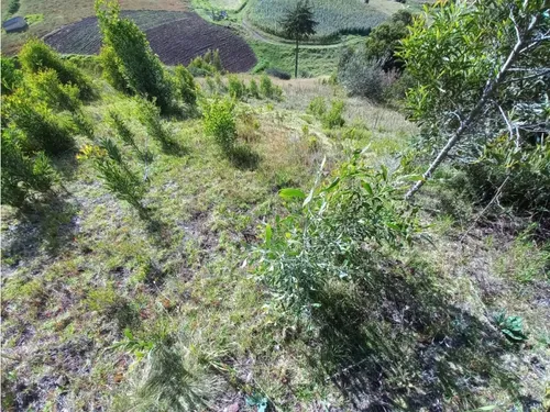 Venta De Lote Chivatá