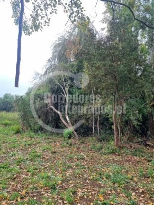 Parcela De 5.000m2 Con Casa Nueva De 3d-2b, Sector Luanco