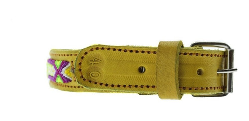 Collar Para Perro 6 Piezas 20cm 40cm 45cm 60cm 65cm