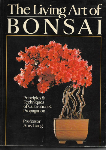 The Living Art Of Bonsai. Amy Liang. Fotos Increibles! 