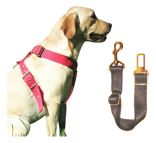 Cinturón De Seguridad Para Perros +  Arnés Reforzado