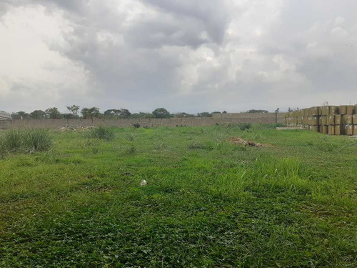 Imagen 12 de 18 de En Alquiler Terreno En Zona Industrial El Recreo