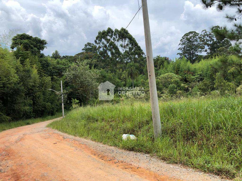 Imagem 3 de 13 de Área 96000m², Brotas (caucaia Do Alt0) - R$ 5.76 Mi, Cod: 4069 - V4069