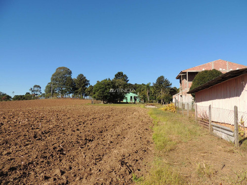 Imagem 24 de 30 de Topografia, Área Produtiva, Proximidade Dos Grandes Centros - R1706