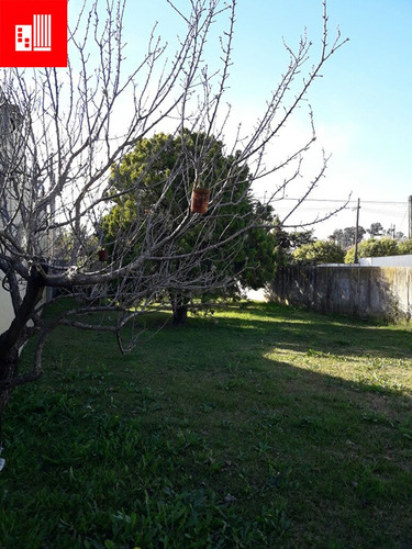 Lote 26 Y 483