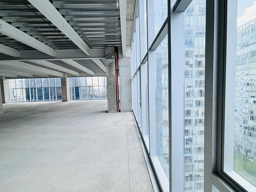 Se Renta Oficina En Obra Gris En Nuevo Polanco