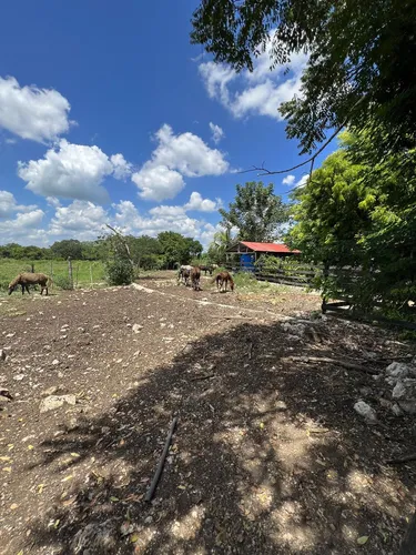 Casa En Pueblo Panaba
