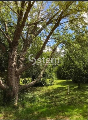 Imagen 11 de 13 de Venta De Lotes, Camino Lussich, Maldonado.