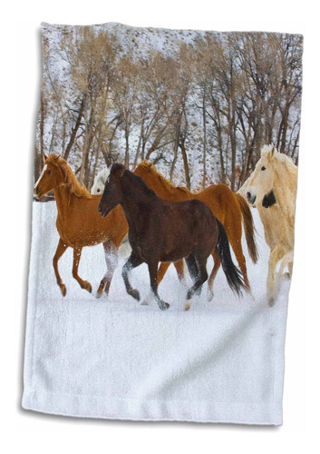 3d Rose Usa-wyoming-shell-horses Running In Snow-us51 T...