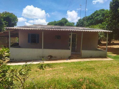 Vd Excelente Chacara 4.000m² -nova Petrópolis-planaltina-go