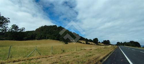 Sitio - 5.000 M2 Cada Uno - Cascadas - Puerto Octay