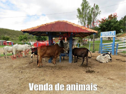 Imagem 18 de 20 de Venda - Estabelecimento Comercial - Zona Rural - Juiz De Fora - Mg - D0109