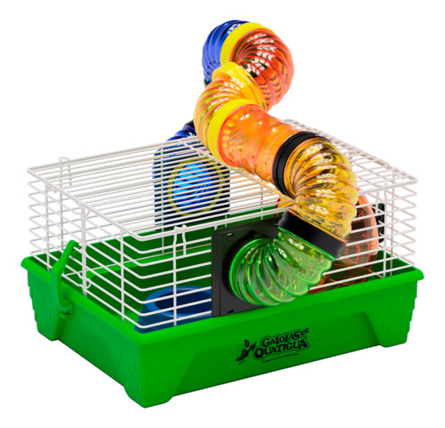 Gaiola Para Hamsters Acessórios E Tubos Coloridos Verde