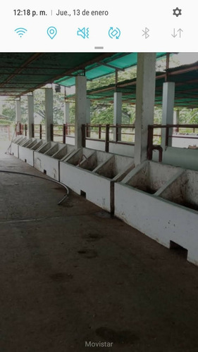 Imagen 5 de 30 de Finca 220 Ha Privadas, Estado Apure