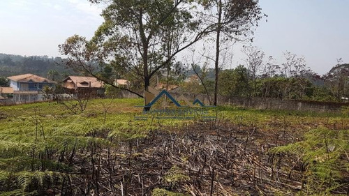 Oportunidade! Área, Na Beira Do Km 40 Da Raposo! - 92