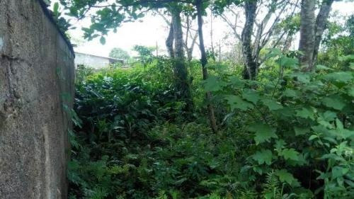 Imagem 4 de 4 de Terreno No Jd Das Palmeiras À 800 Metros Do Mar | 5069 E