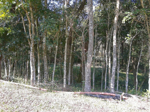 Sítio, Região De Itu Sp - Si0081