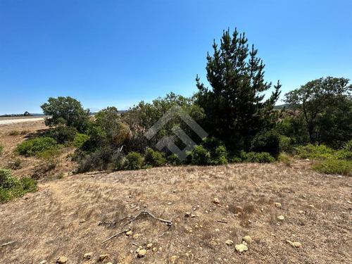 Parcela En Venta En Pichilemu- 5000 Mts
