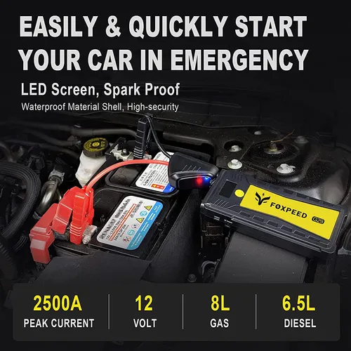 Foxpeed g29 2024