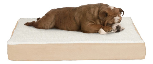 Hermoso Colchón Ortopédico Memory Foam Para Mascota