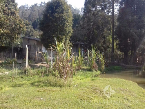 Vendo Chácara Com 5.000 M² Em Franco Da Rocha Com Duas Casas E Lazer. - Ch00094 - 4864160
