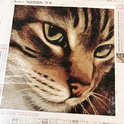 Kit Pintura Con Diamantes 5d Cara De Gato 30x30cm Diy Kit Pintura Con Diamantes 5d Cara De Gato 30x30cm Diy