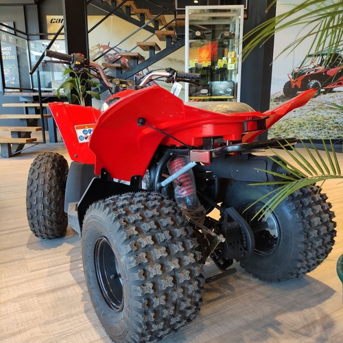 Imagen 8 de 18 de Canam Ds 90 Cuatri 0km No Yamaha Honda Motomel Usd