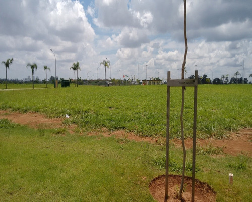 Imagem 5 de 9 de Terreno - Te00222 - 33337856