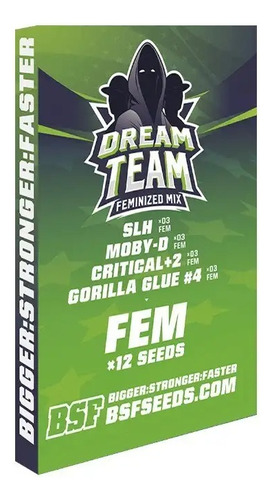 Promocion Dream Team Fem Mix 12 Semillas Bsf Seeds