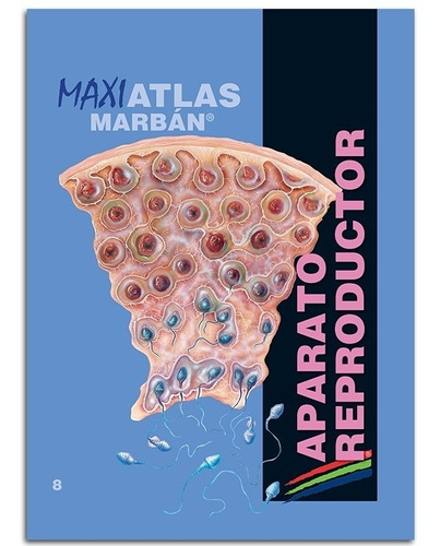 Maxi Atlas Aparato Reproductor N° 8