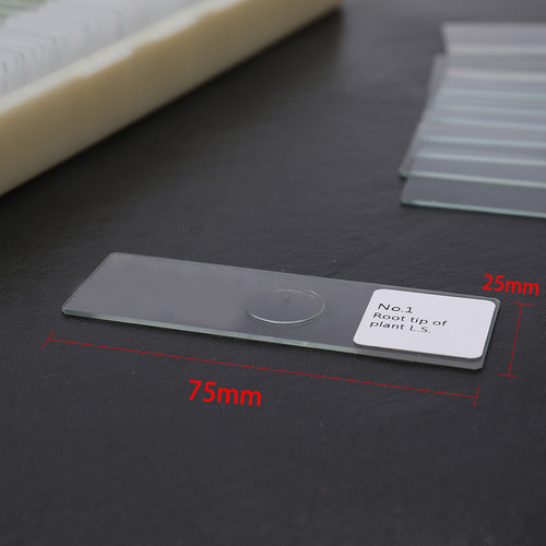 Kit De Muestras Biológicas Preparadas Para Microscopio