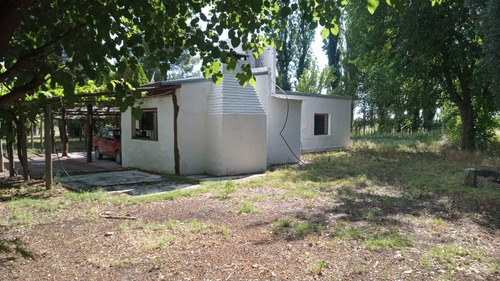 Finca Productiva En San Rafael, Mendoza