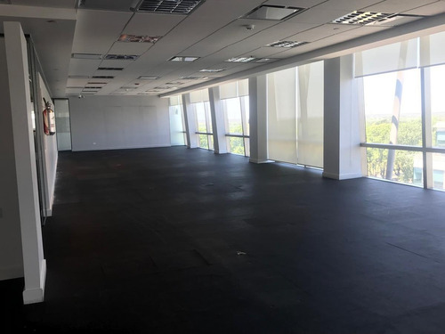 Imagen 9 de 23 de Oficina En Alquiler -edificio Puerto Leon