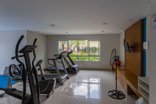 Belo Apartamento De 237 A Venda Na Vila Mariana - Mr75048