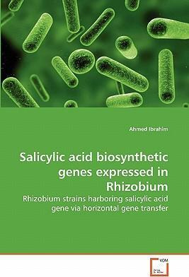 Libro Salicylic Acid Biosynthetic Genes Expressed In Rhiz...