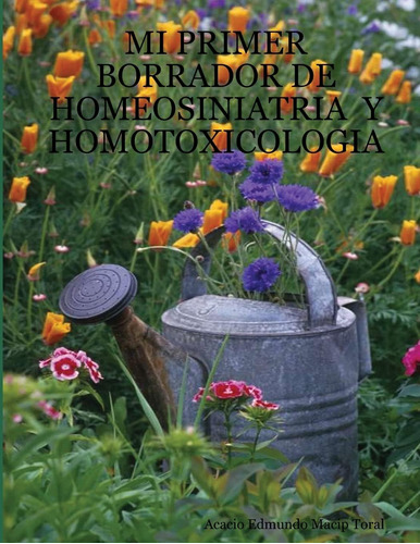 Libro:mi Primer Borrador De Homeosiniatria Y Homotoxicologia