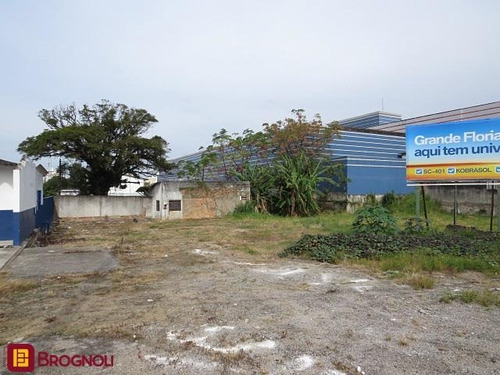 Terreno Comercial Excelente No Estreito! - 22983
