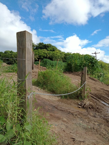 Oportunidade Baixe Motivo Doenca Terreno Otimo Para Galpão