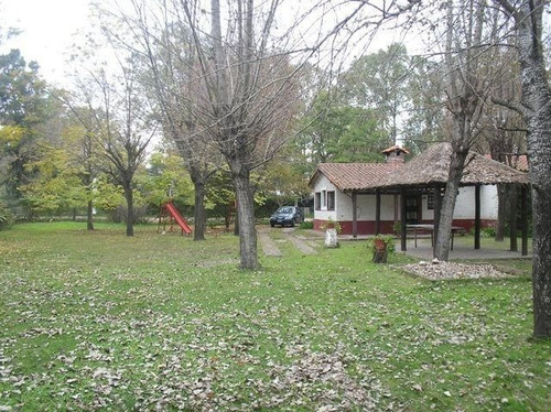 Imagen 8 de 17 de Quinta | Av. De La Riviera Al 1400