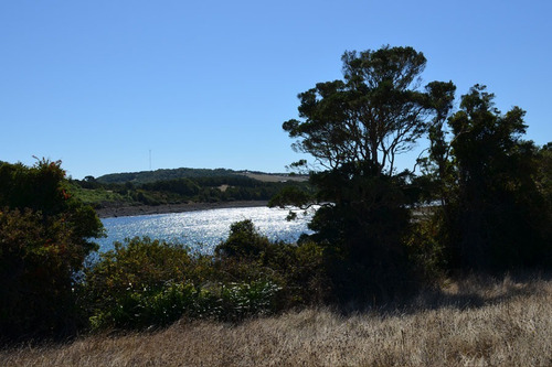 Imagen 2 de 16 de Se Venden Parcelas Con Orilla De Playa En Chiloé