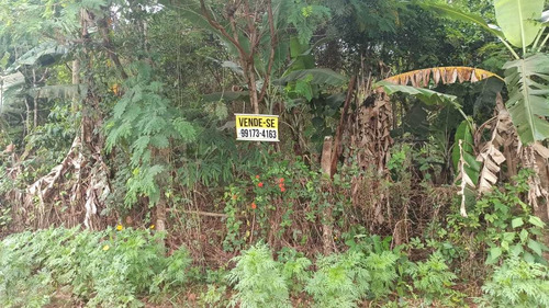 Lote - 2083