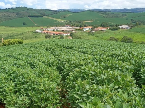 Fazenda A Venda No Sul De Minas Com 470 Ha - Bcp93